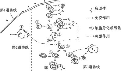 bf5354b054ccee498ca307647d38b43.jpg